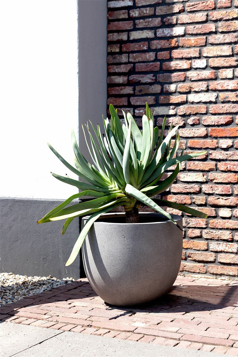 Pflanztopf Grigio New Egg Pot Natural Concrete