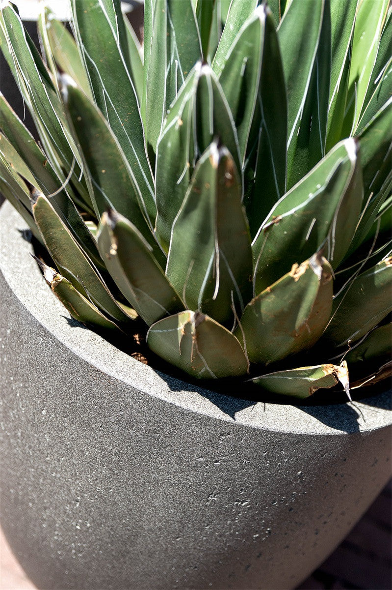 Pflanztopf Grigio New Egg Pot Natural Concrete