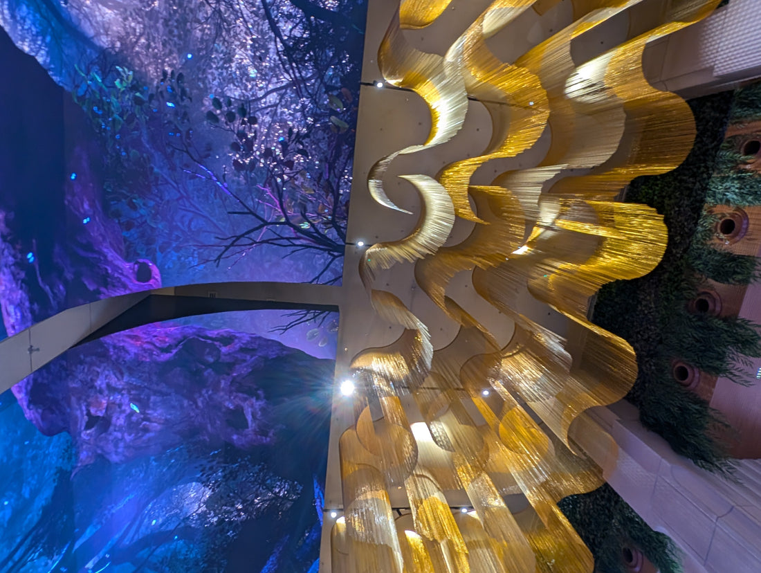 Zenon Restaurant: Exklusives WOW Erlebnis