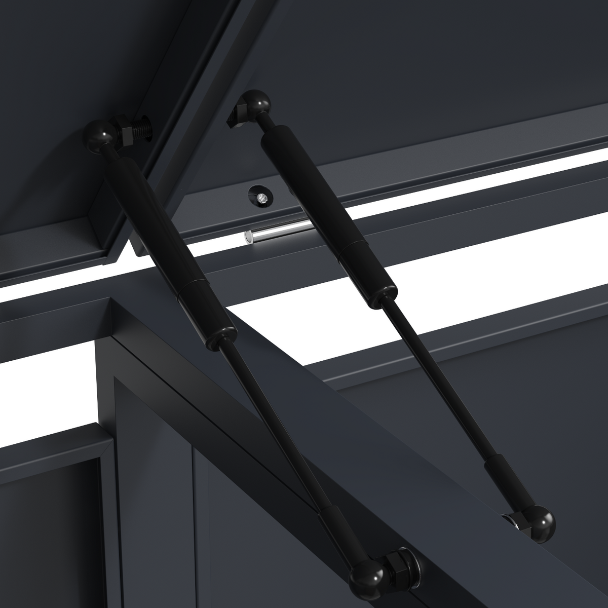 Muelltonnenbox Detail Gasdruckdaempfer in schwarz