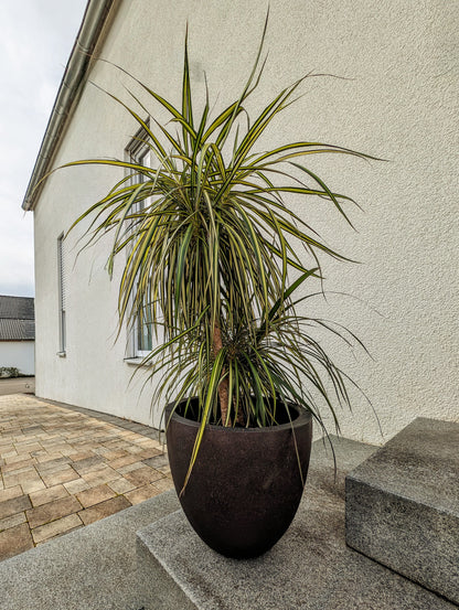 Grigio Egg Pot 32 - Rusty Iron F637
