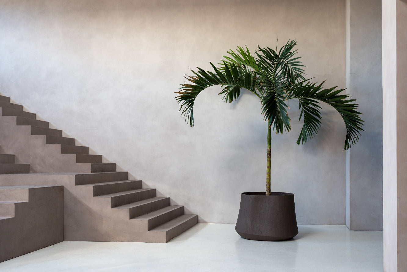 Pflanztopf fuer Palme Rondello Luca Lifestyle